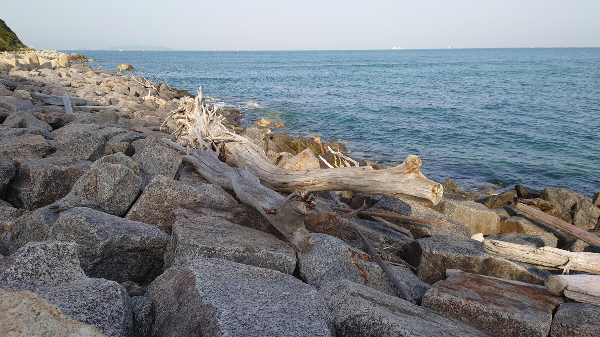 伊良湖岬灯台12