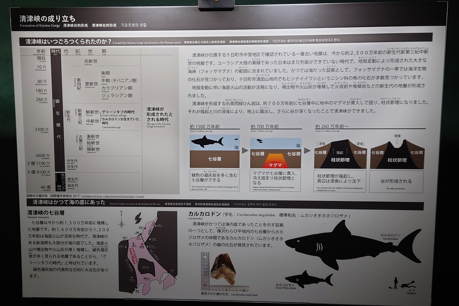 清津峡渓谷トンネル10