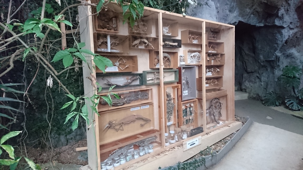 まぼろし博覧会8