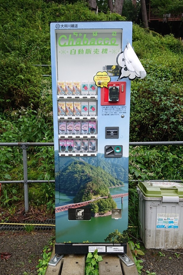 奥大井湖上駅23