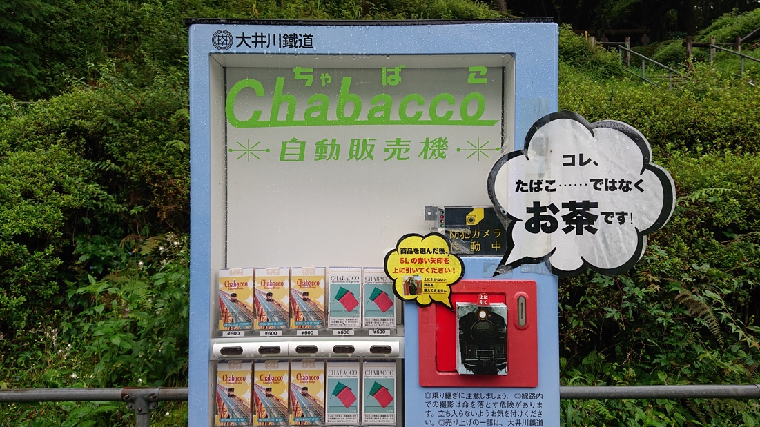 奥大井湖上駅24