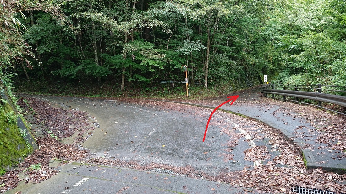 井川湖畔遊歩道6