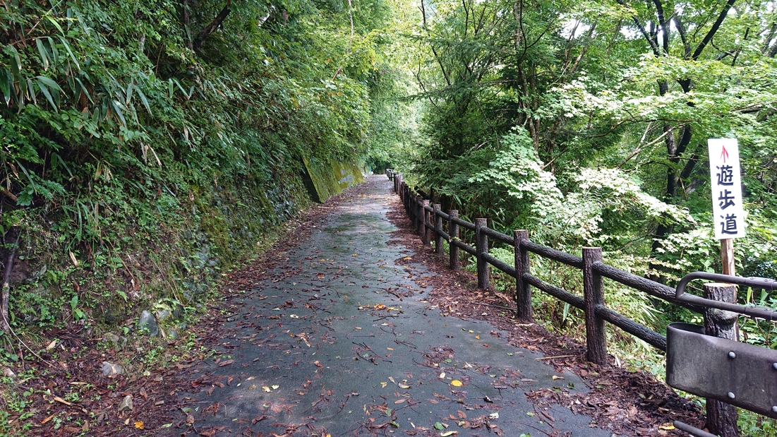 井川湖畔遊歩道8