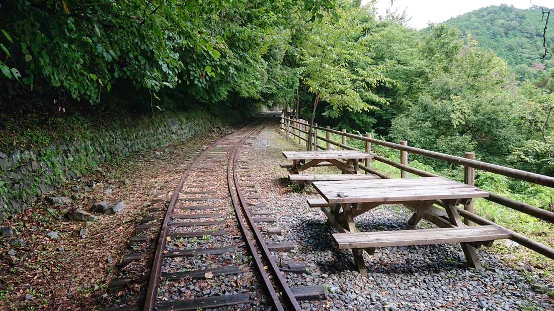 井川湖畔遊歩道11