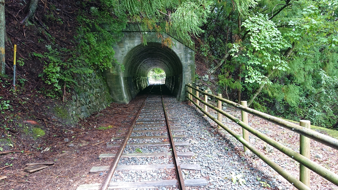 井川湖畔遊歩道13