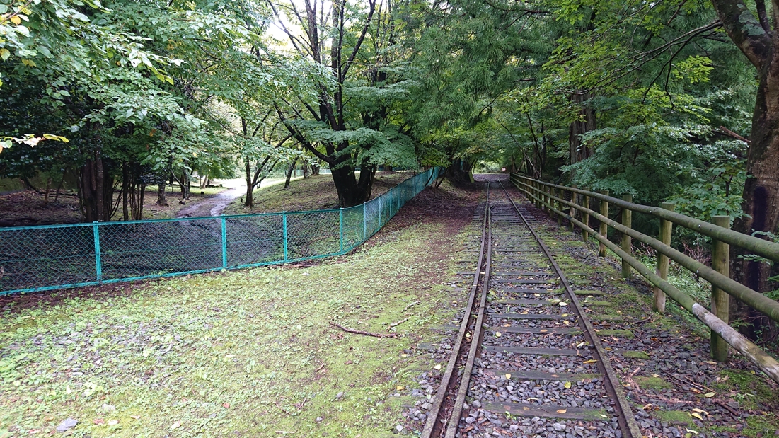 井川湖畔遊歩道16