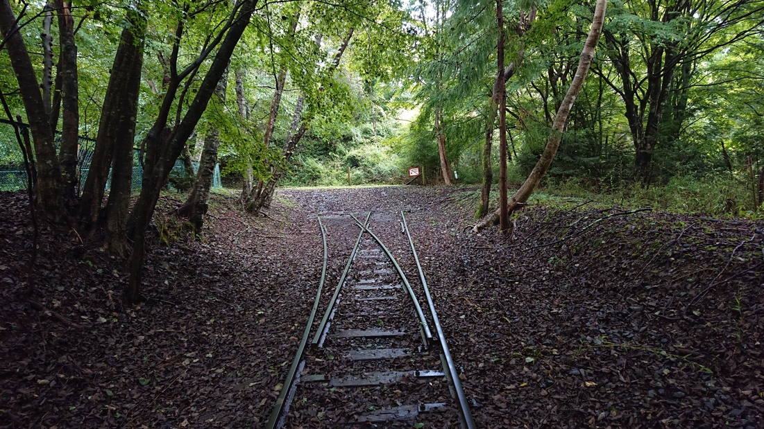 井川湖畔遊歩道17