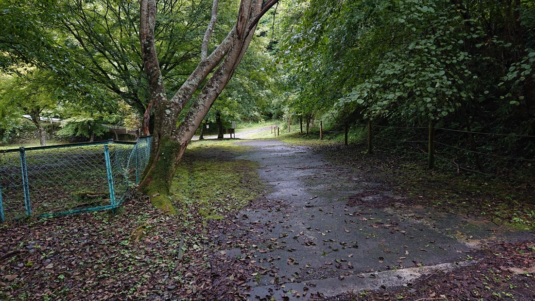 井川湖畔遊歩道18