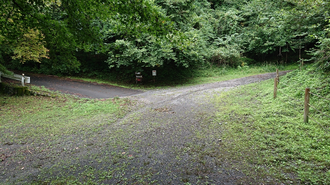 井川湖畔遊歩道19