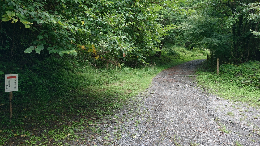井川湖畔遊歩道20