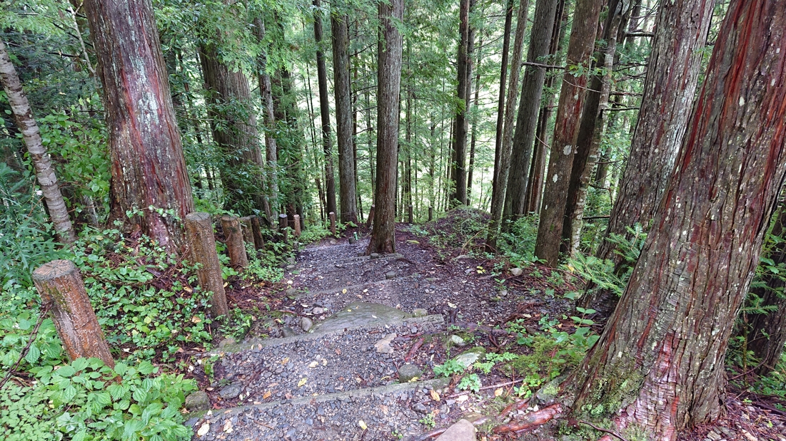 井川湖畔遊歩道23