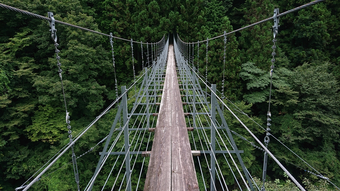 井川湖畔遊歩道26