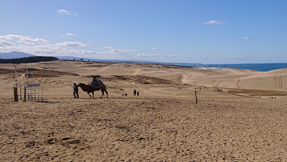 鳥取砂丘12