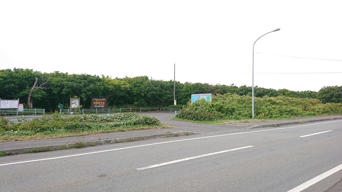 川口遺跡風景林1