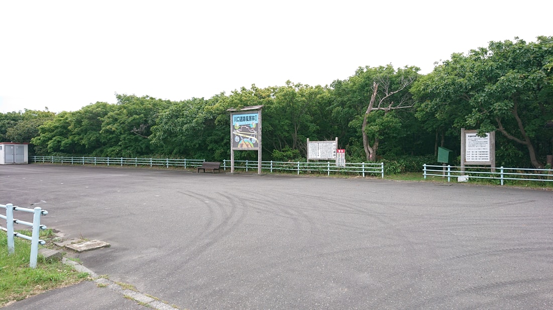 川口遺跡風景林2