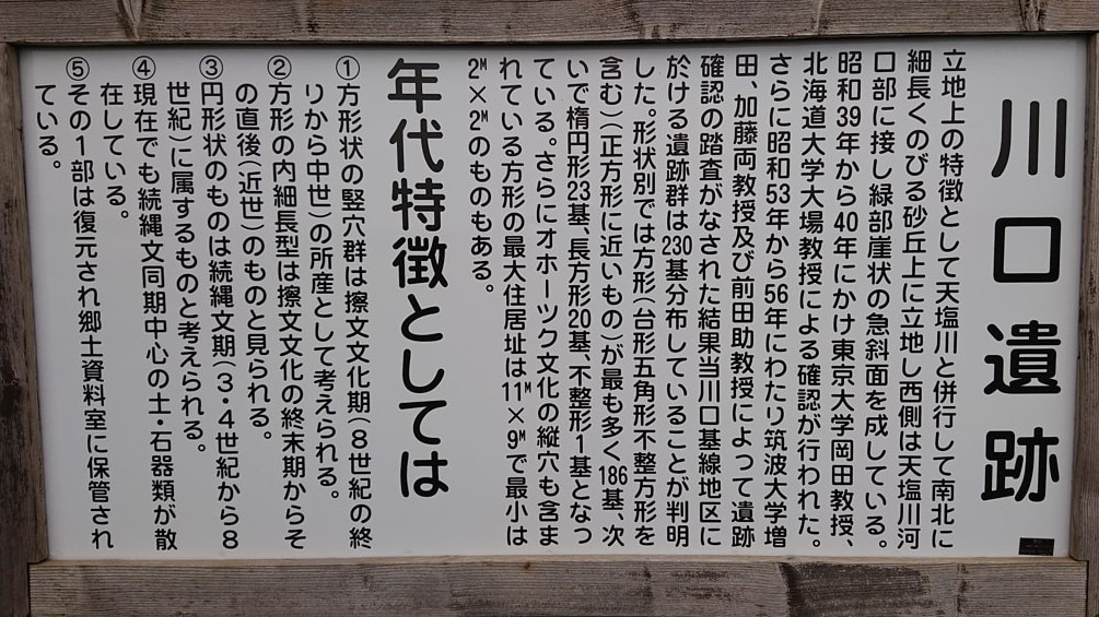 川口遺跡風景林3