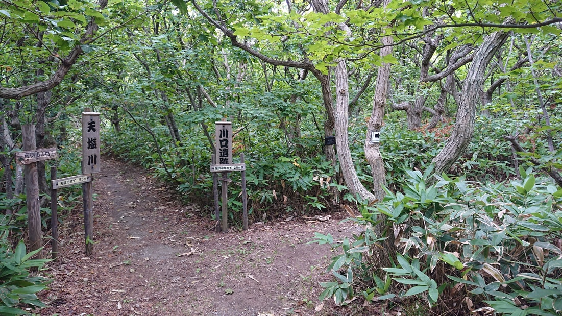 川口遺跡風景林6