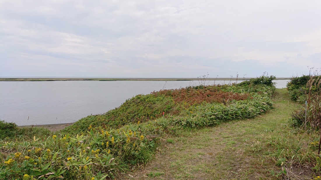 川口遺跡風景林7