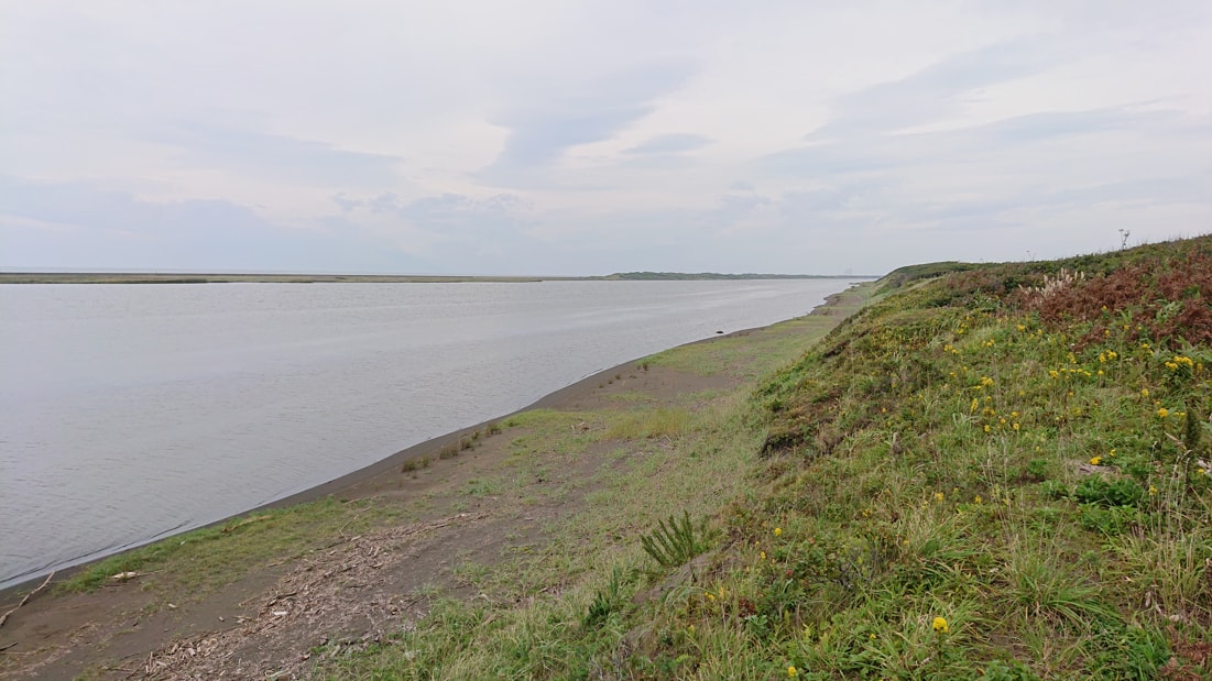 川口遺跡風景林8