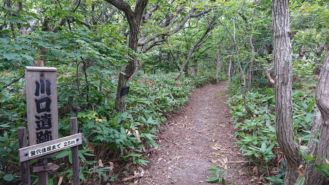 川口遺跡風景林9
