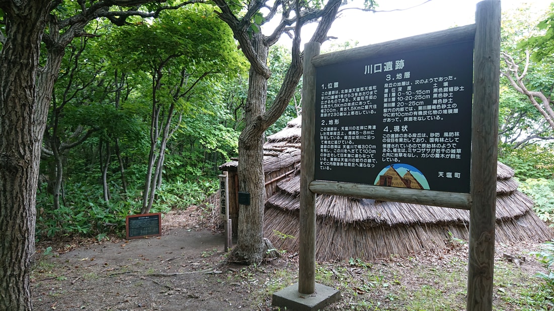 川口遺跡風景林10