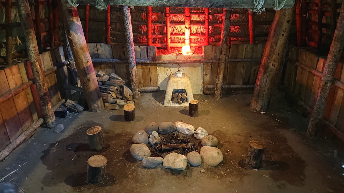 川口遺跡風景林12