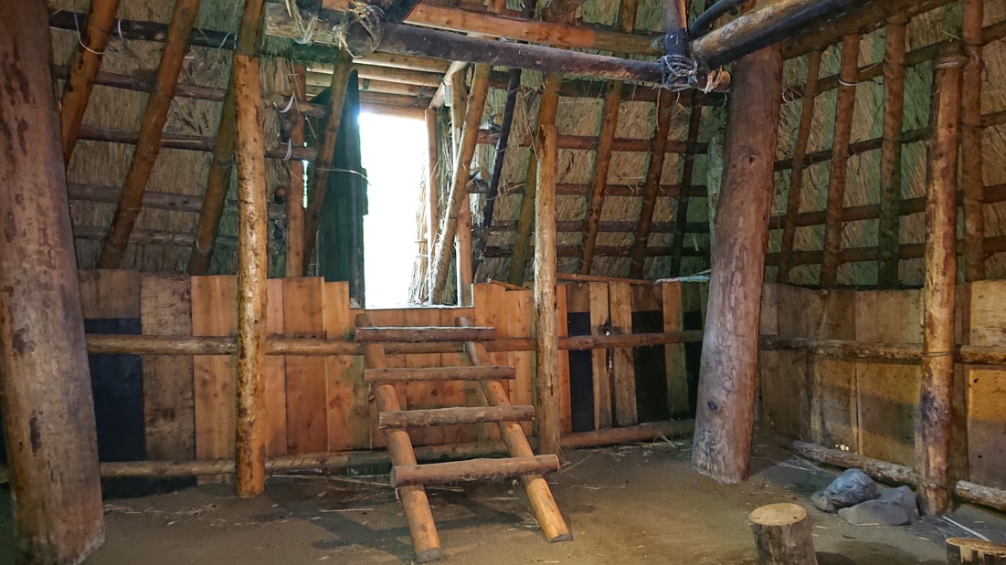 川口遺跡風景林13