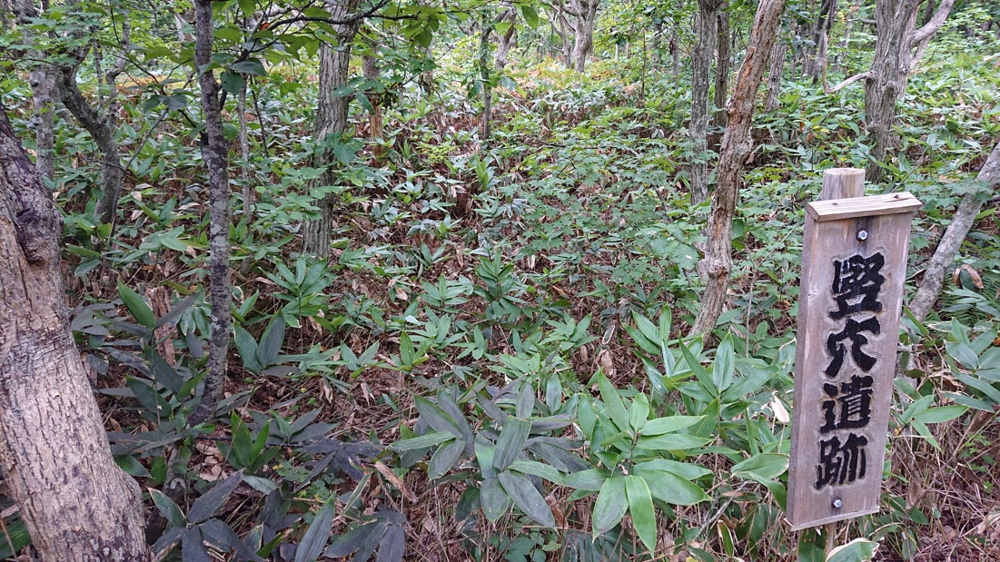 川口遺跡風景林14
