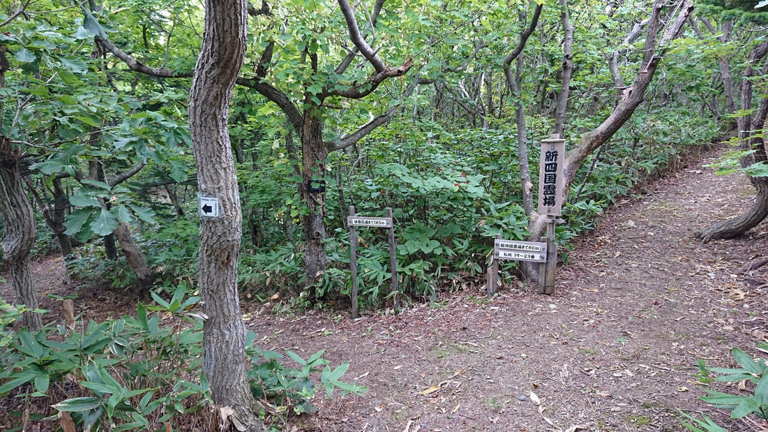 川口遺跡風景林15