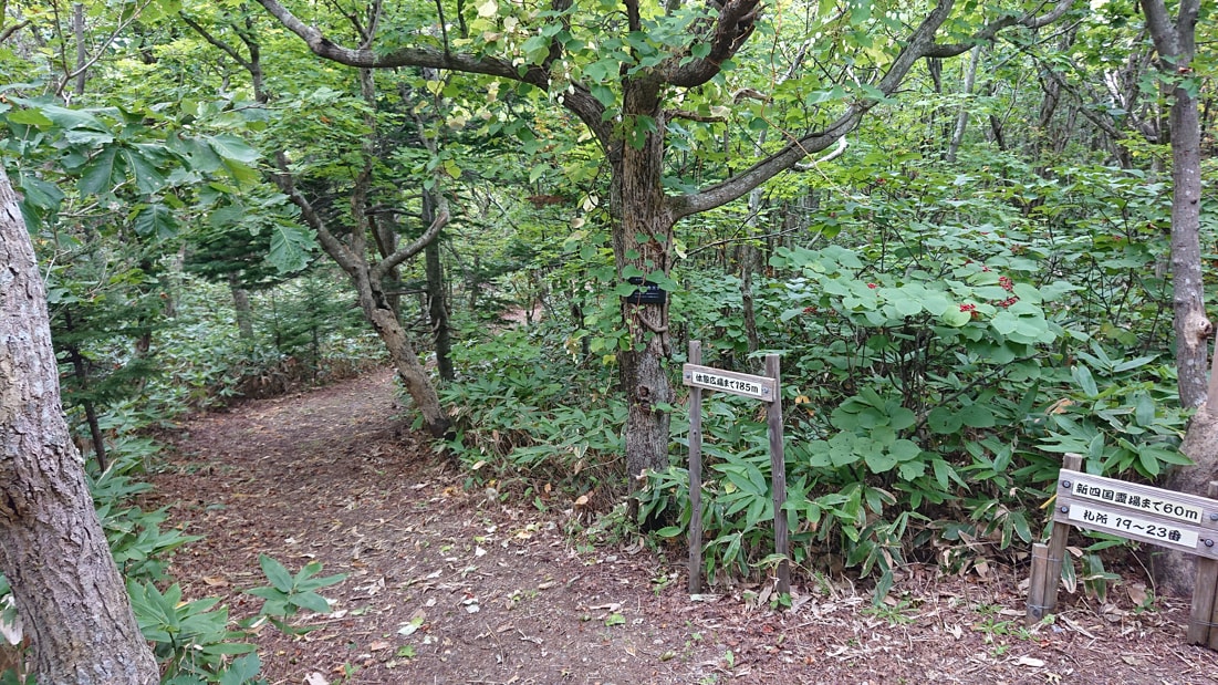 川口遺跡風景林18