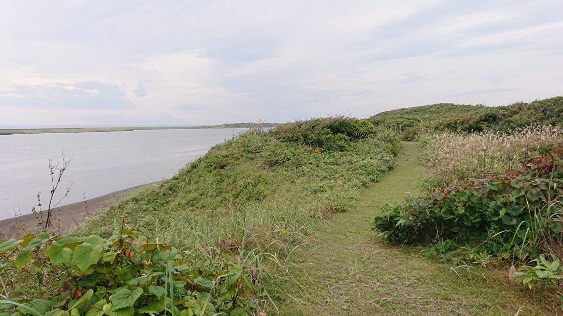 川口遺跡風景林21