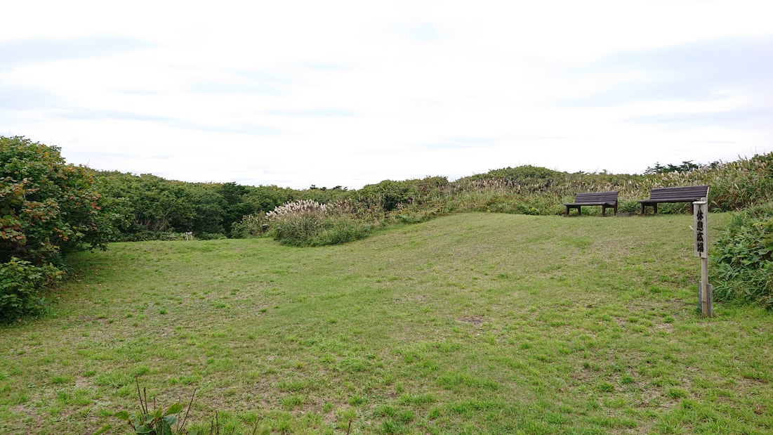 川口遺跡風景林22