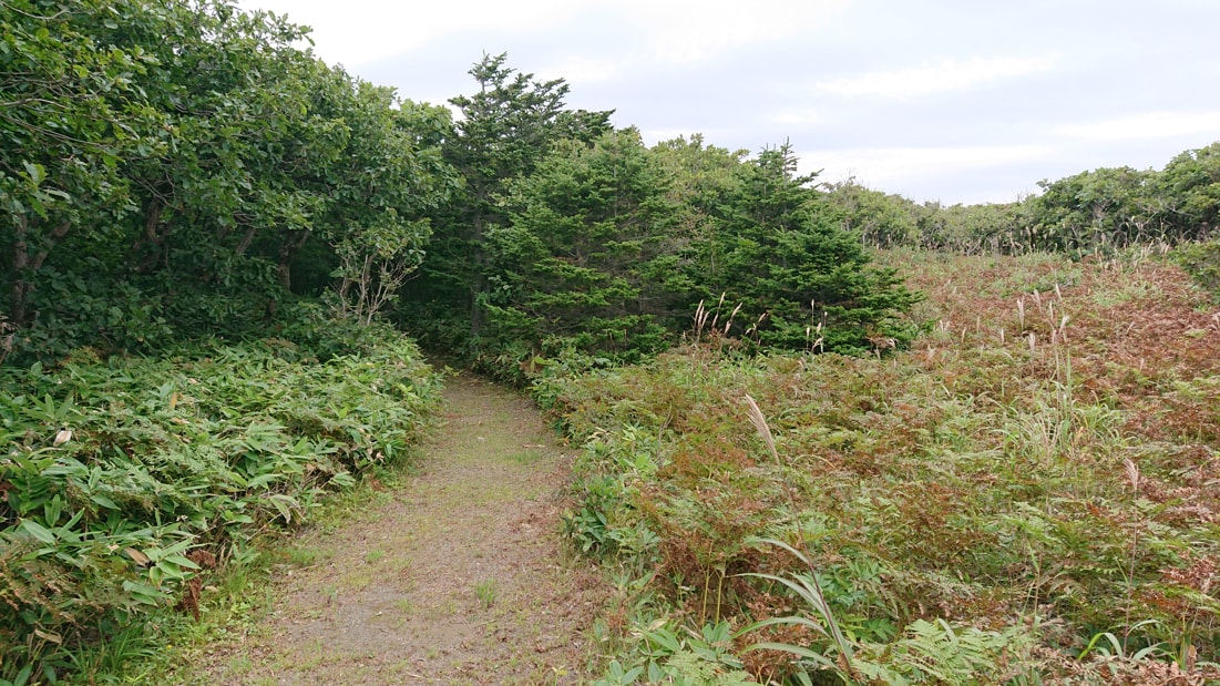 川口遺跡風景林23