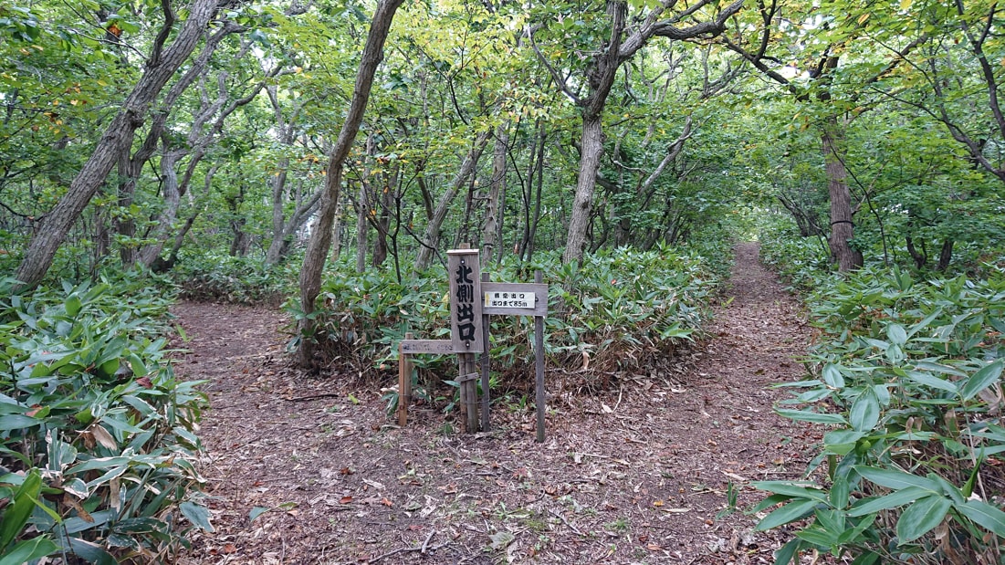 川口遺跡風景林24