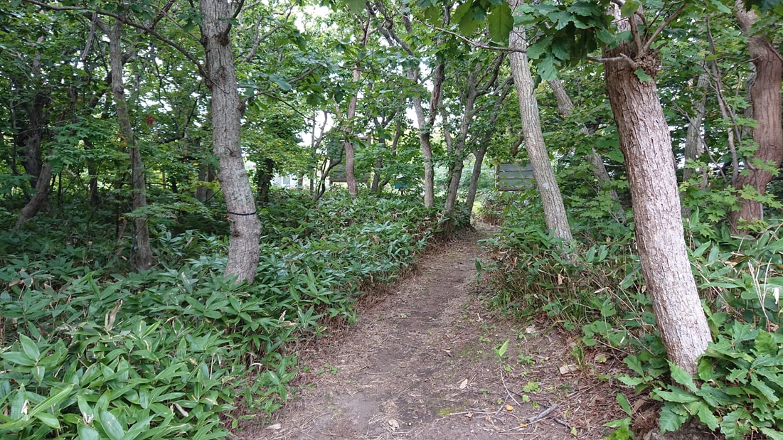 川口遺跡風景林28