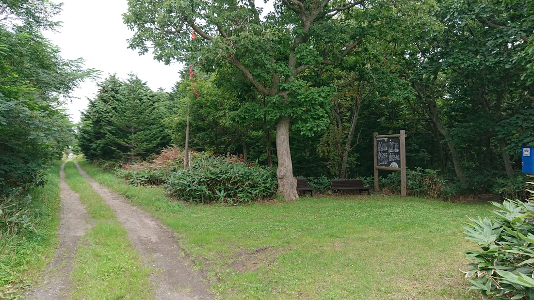 川口遺跡風景林30