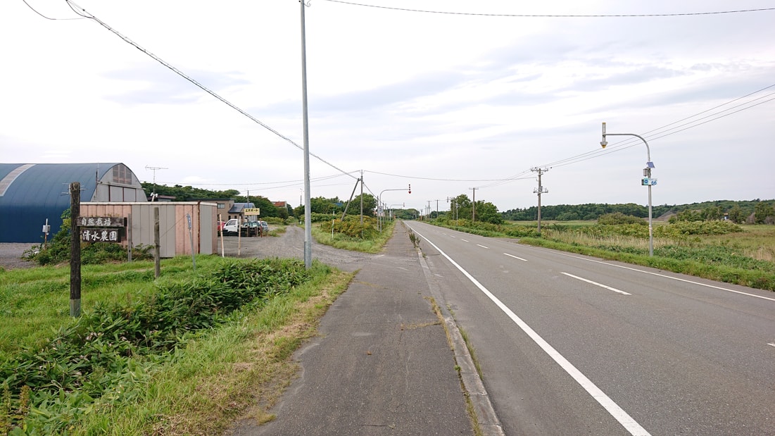 川口遺跡風景林31