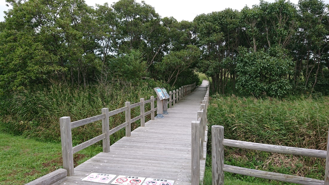 サロベツ国立公園3