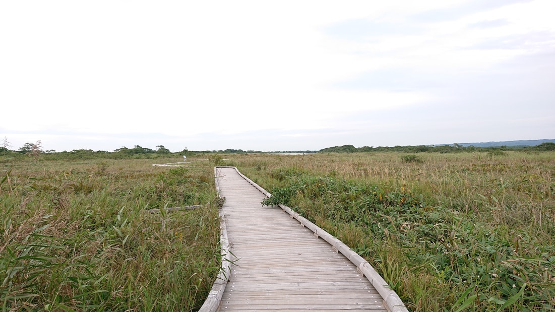 サロベツ国立公園4