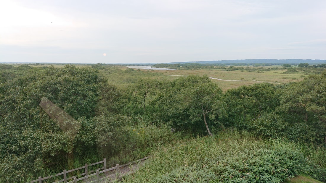 サロベツ国立公園5