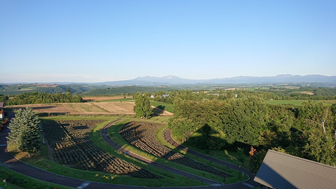 北西の丘展望公園6