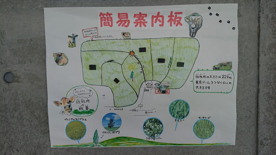 美瑛放牧酪農場5