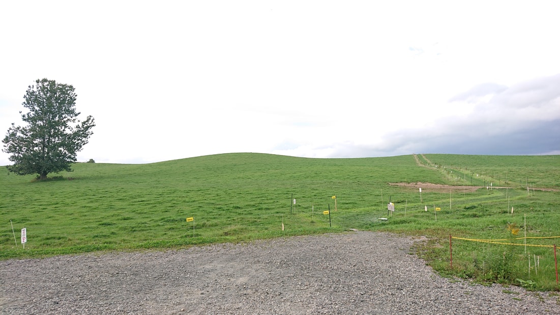 美瑛放牧酪農場6