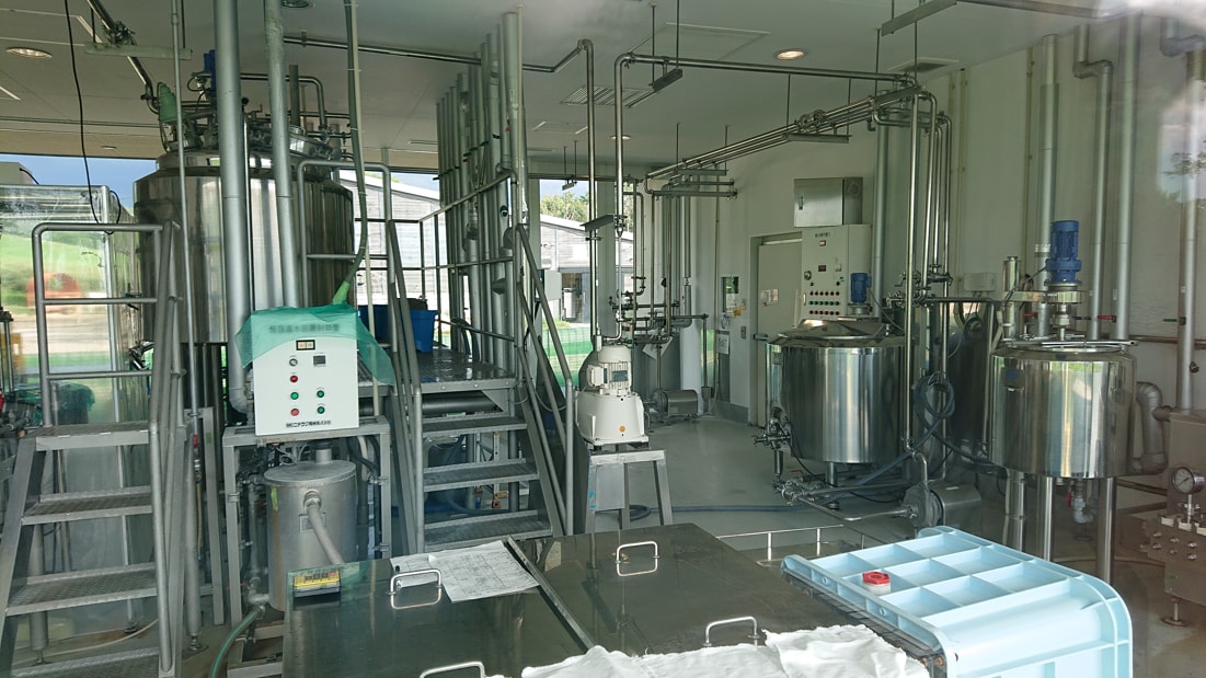 美瑛放牧酪農場10