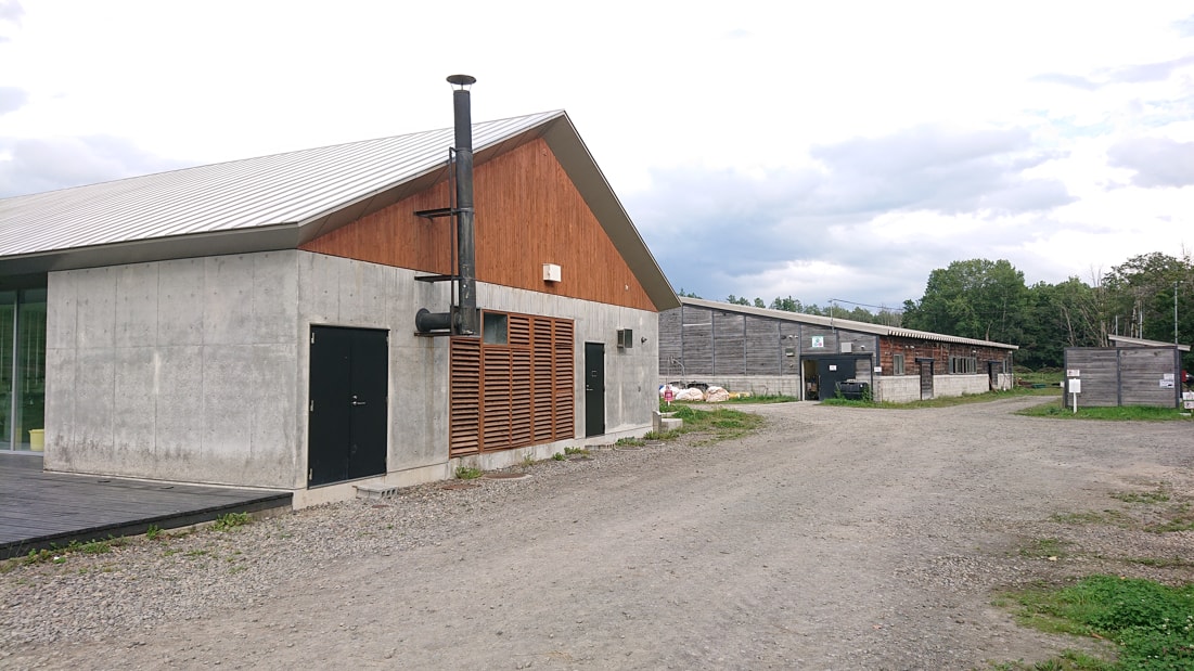 美瑛放牧酪農場11