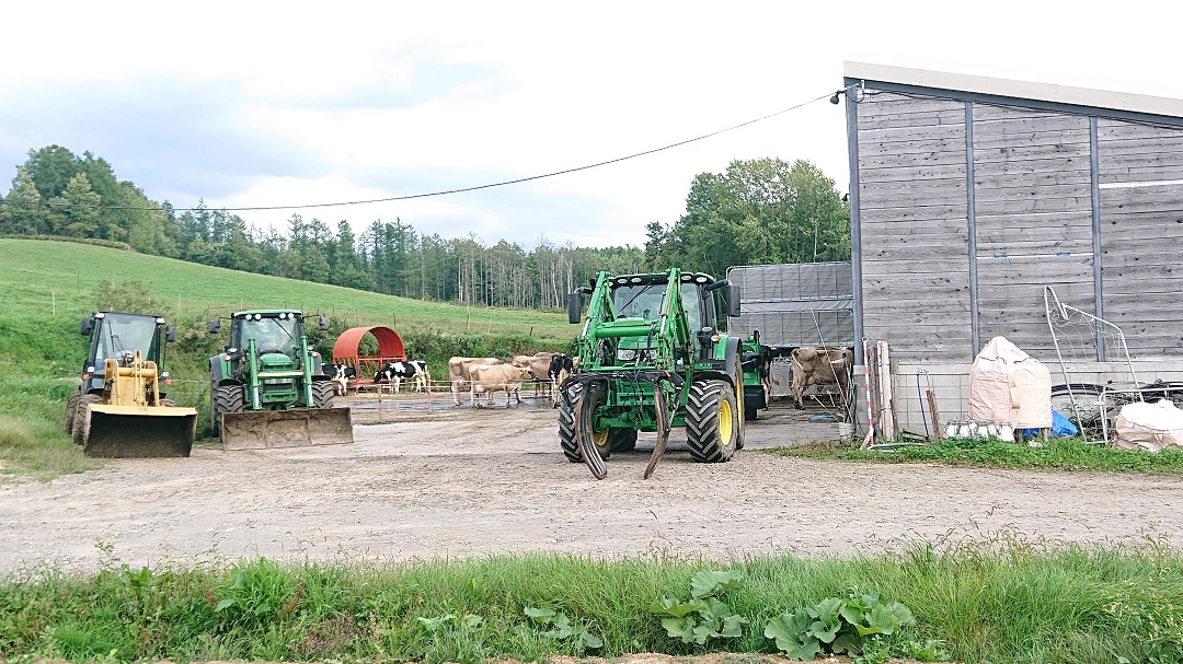 美瑛放牧酪農場12