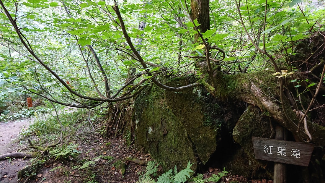 紅葉滝19
