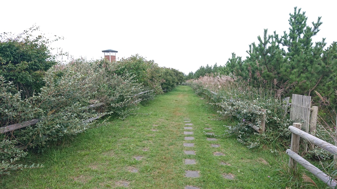 百人浜の展望台5