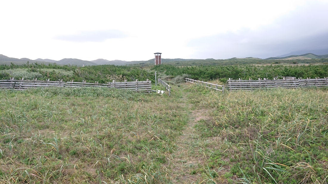 百人浜の展望台14