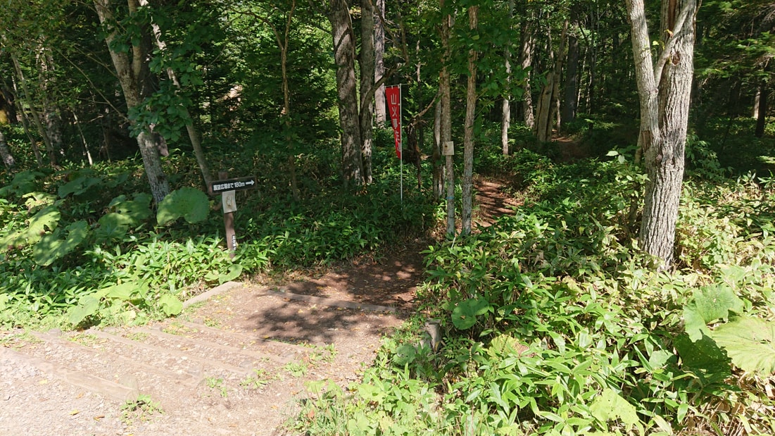 タウシュベツ川橋梁2